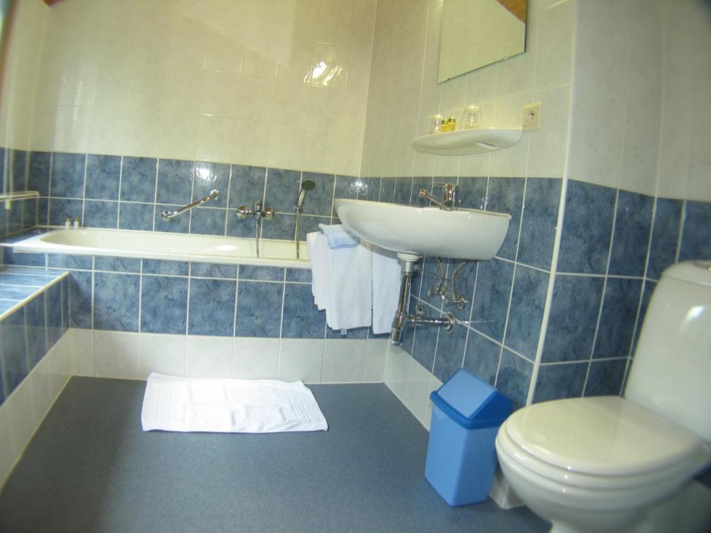 פטיט טאילה Hotel Aux Massotais חדר תמונה